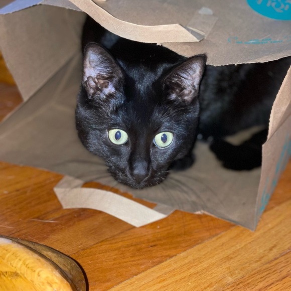 Meet your Posher, Sandra - Picture 1 of 1